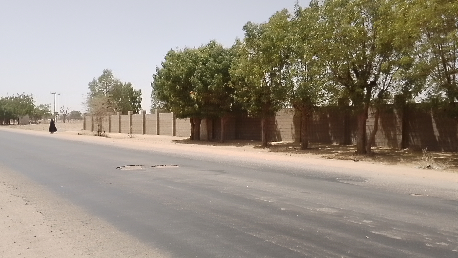 PUN13032501: (FOR SALE) Large Farmland with Poultry Barns and Orchard in Marai Village, Katsina – ₦40 Million