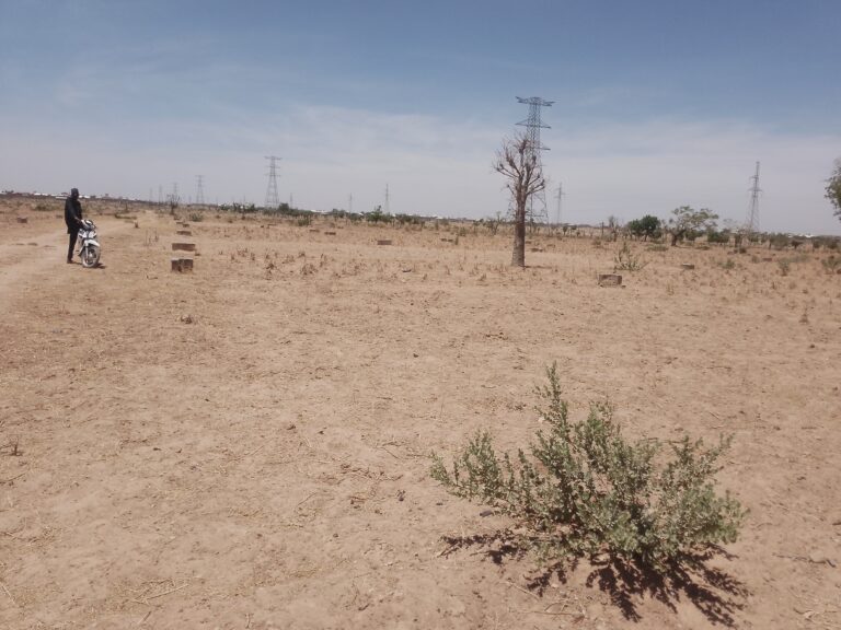 PUN17042502: (FOR SALE) Secure 50ft x 40ft Plot of Land Behind NLC/TUC Housing, Katsina – ₦7 Million