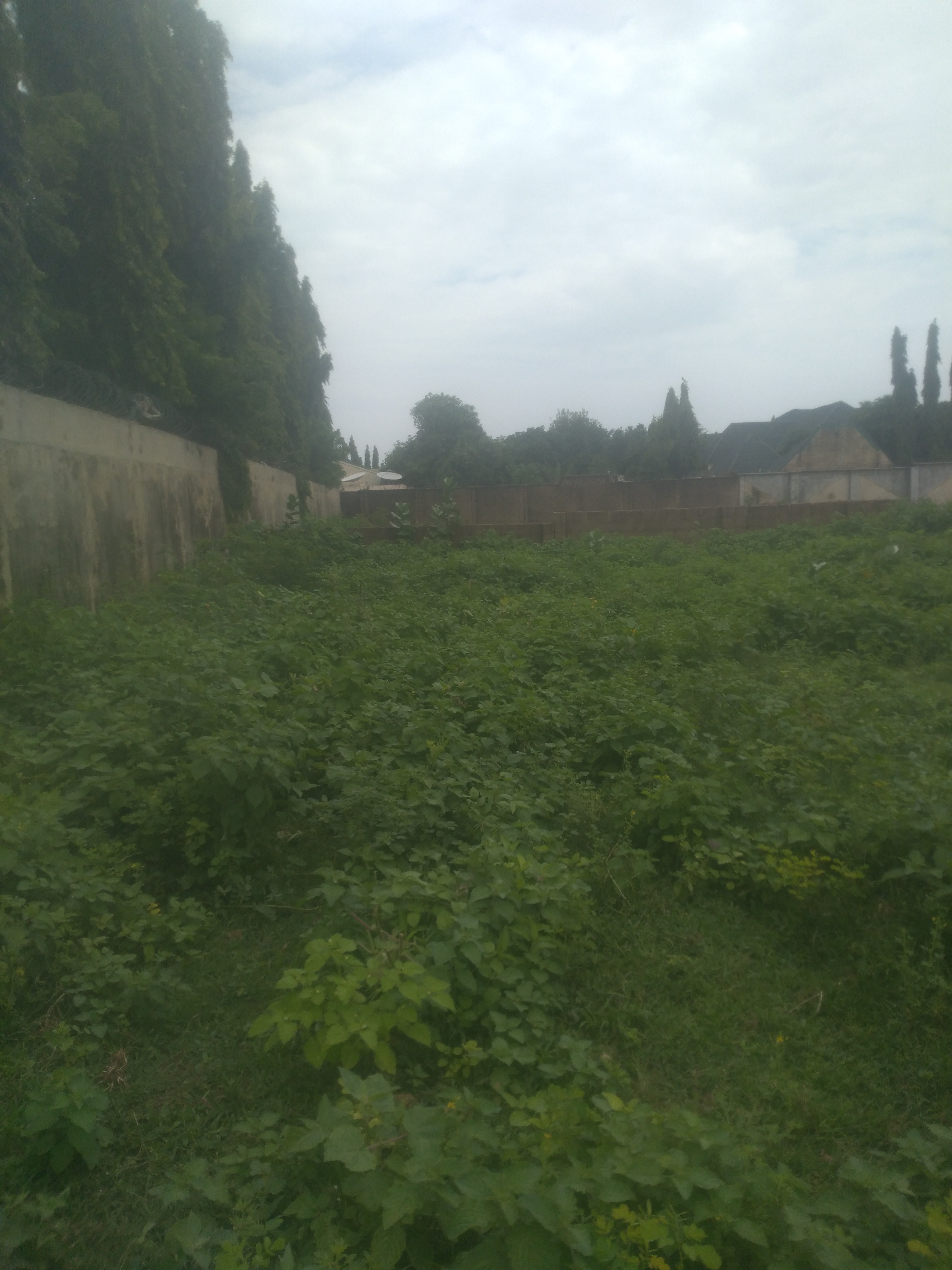 KT16092503: (FOR SALE) Residential Plot of Land Behind Makera Motel, Daura Road, Katsina – ₦2.5 Million